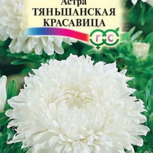 Астра Тяньшанская красавица 0,3 г, пионовидная белая