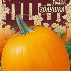 Тыква Золушка 1,0 г Серия Ленивый огород