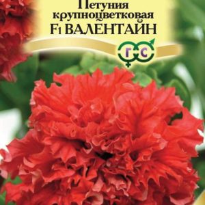 Петуния Валентайн F1махровая крупноцв. 10 шт. гранул. проб. сер. Элитная клумба Н11