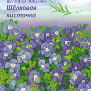 Вероника ползучая Шелковая кисточка* 0,02 г Н12 , серия Лавандовые грёзы