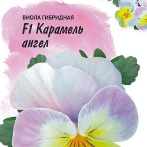 Виола Карамель ангел F1, Виттрока (Анютины глазки)* 10 шт, Фарао Н17