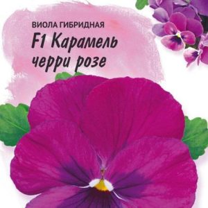 Виола Карамель черри розе F1, Виттрока (Анютины глазки)* 10 шт, Фарао Н17