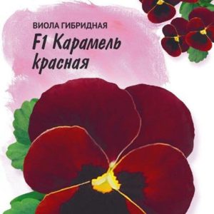 Виола Карамель красная F1, Виттрока (Анютины глазки)* 10 шт, Фарао Н17