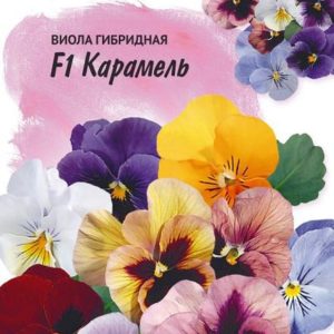 Виола Карамель F1, Виттрока (Анютины глазки)* 10 шт, Фарао Н17