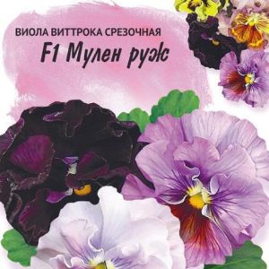 Виола Мулен руж F1, Виттрока (Анютины глазки)* 5 шт, Фарао Н17