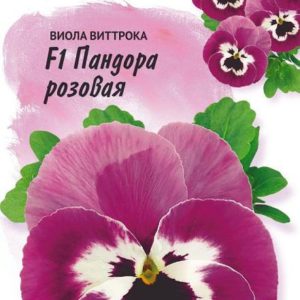 Виола Пандора розовая F1 Виттрока (Анютины глазки)* 5 шт. Италия Н14