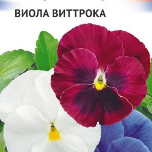 Виола, смесь серия Триколор 0,3 г Н17