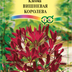 Клеома Вишневая королева 0,3 г Н9