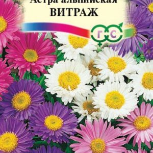 Астра альпийская Витраж* 0,1 г Н9 сер. Альпийская горка