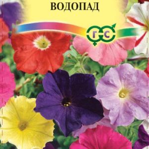 Петуния Водопад амп., смесь 10 шт. пробирка