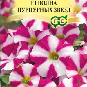 Петуния Волна Пурпурных звезд F1 суперкаскадная 5 шт. гранул. проб. Н14