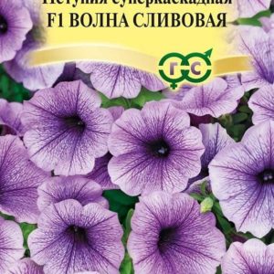 Петуния Волна Сливовая F1 суперкаскадная 5 шт. гранул. проб. Н14