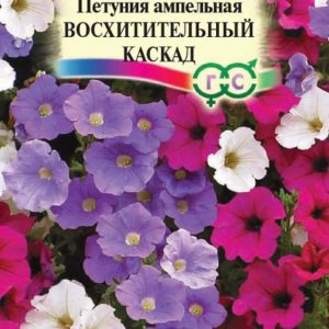 Петуния Восхитительный каскад амп. смесь* 0,25 г Н14