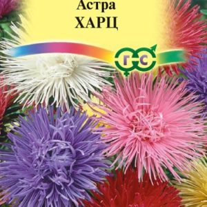 Астра Харц,тонкоигольчая смесь 0,3г Н12