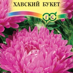 Астра Хавский букет 0,3 г, воронежская красная