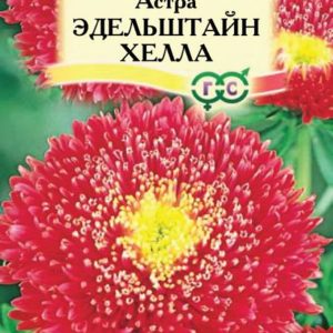 Астра Эдельштайн Хелла 0,3 г, принцесса коралловая