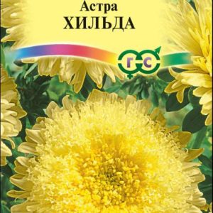 Астра Хильда 0,3 г, принцесса желтая