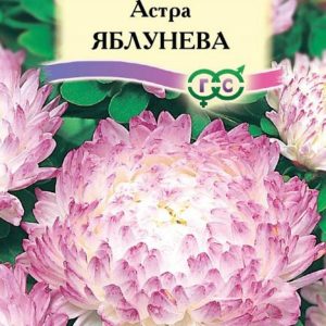 Астра Яблунева 0,3 г, пионовидная