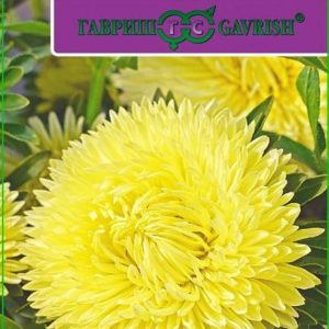 Астра Леди Корал желтая* 0,1 г серия Эксклюзив Н11, розовидная