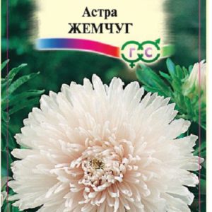Астра Жемчуг 0,3 г,пионовидная