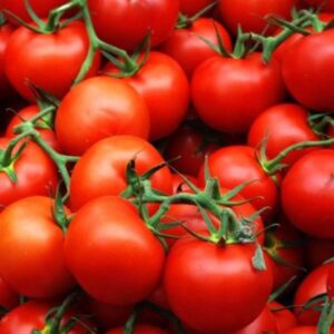 Терра Кота F1